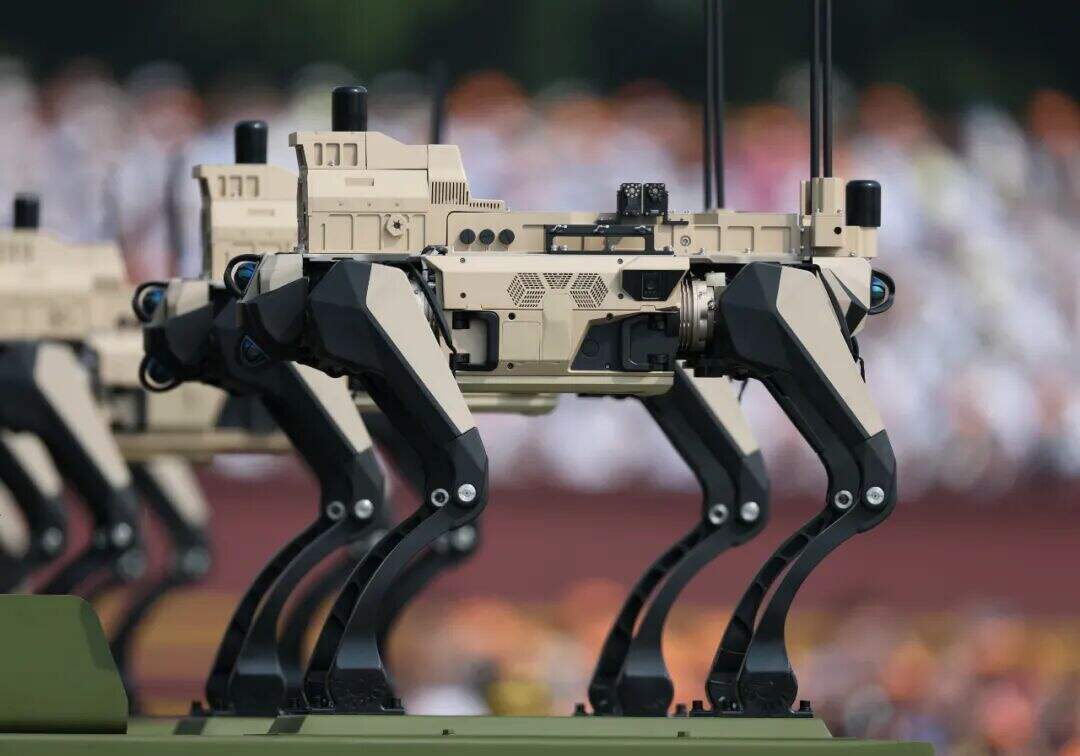640 (35).jpg