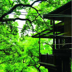 步履生香，一路美景，重庆主城四条经典踏春步道推荐